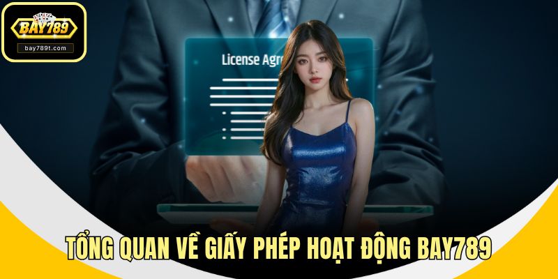 Tổng quan về giấy phép hoạt động BAY789